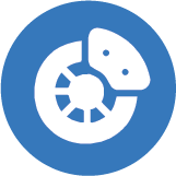 Brake System Icon
