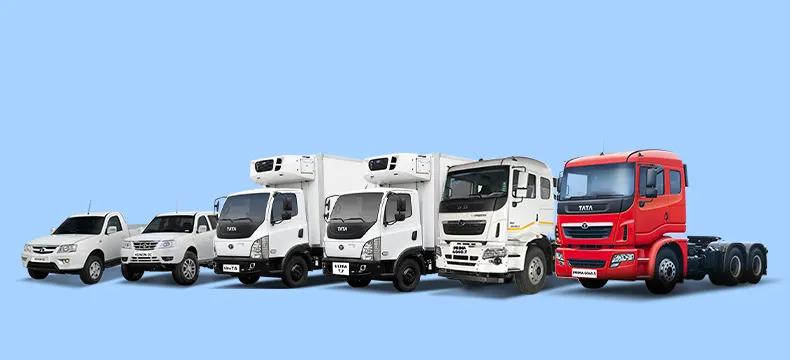 Truck Transport: What You Need to Know About Truck Transportation